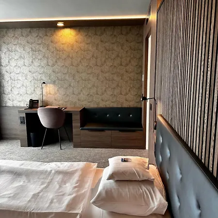 明斯特城市酒店 3*